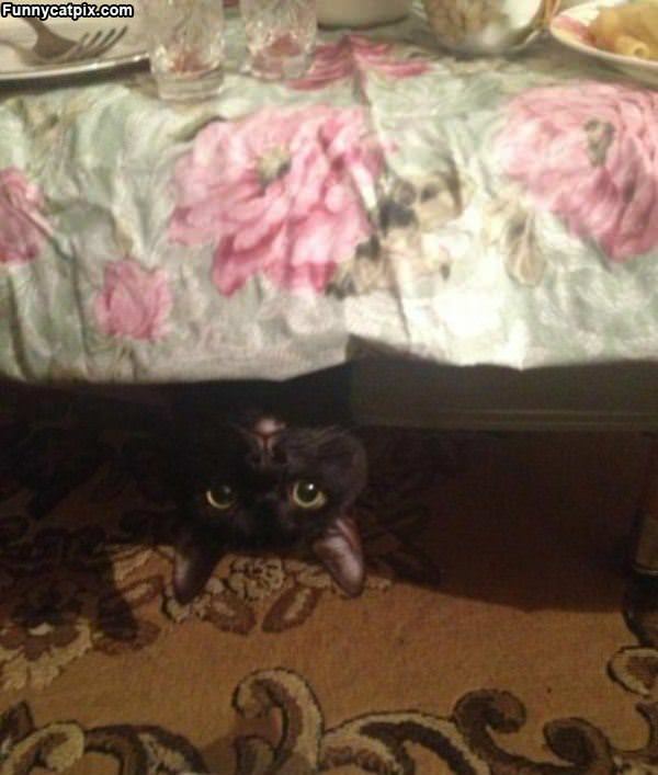 Monster Under The Bed