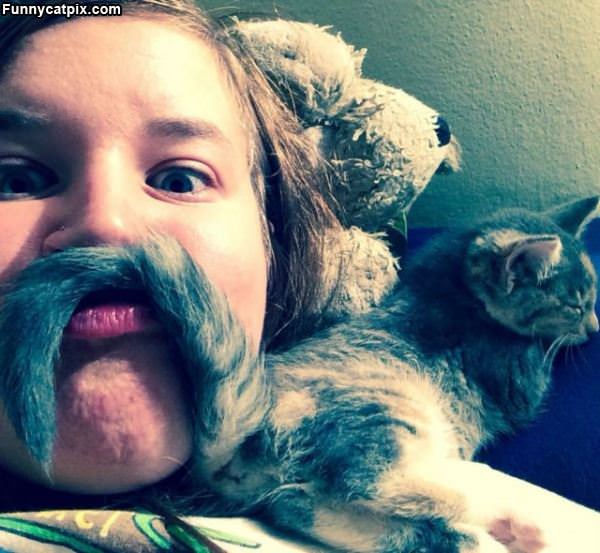 My Cat Mustache