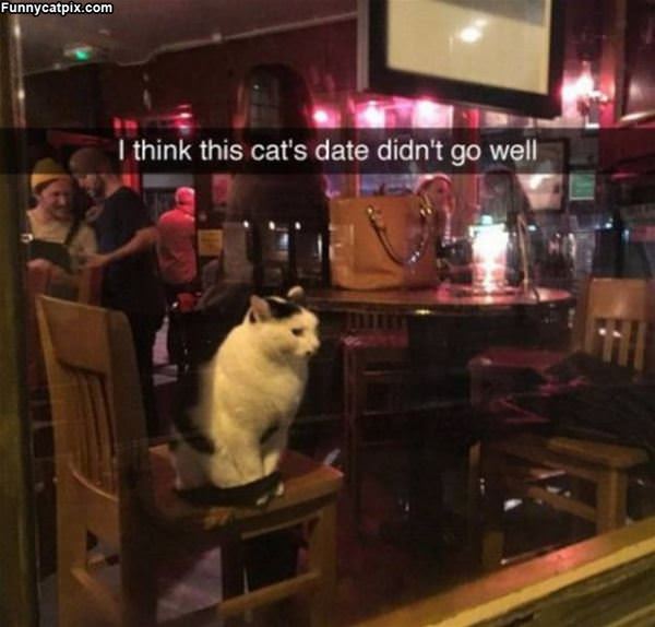 My Date