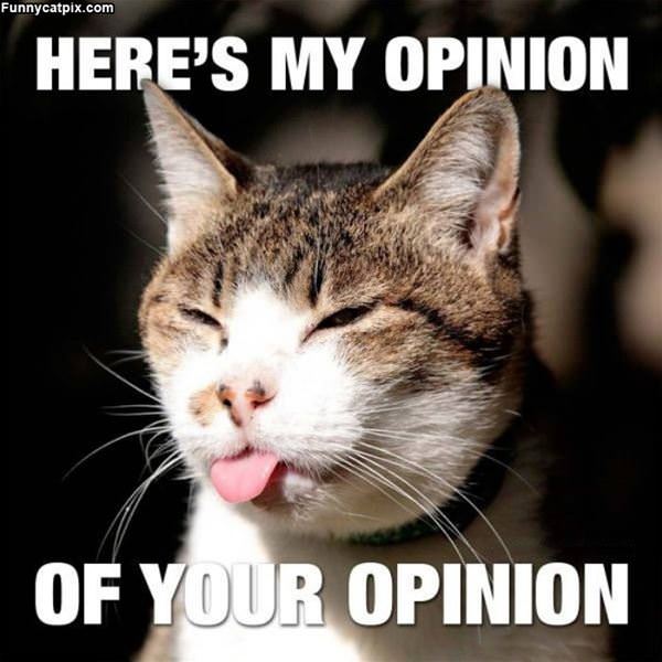 My Opinion Of Your Opinion