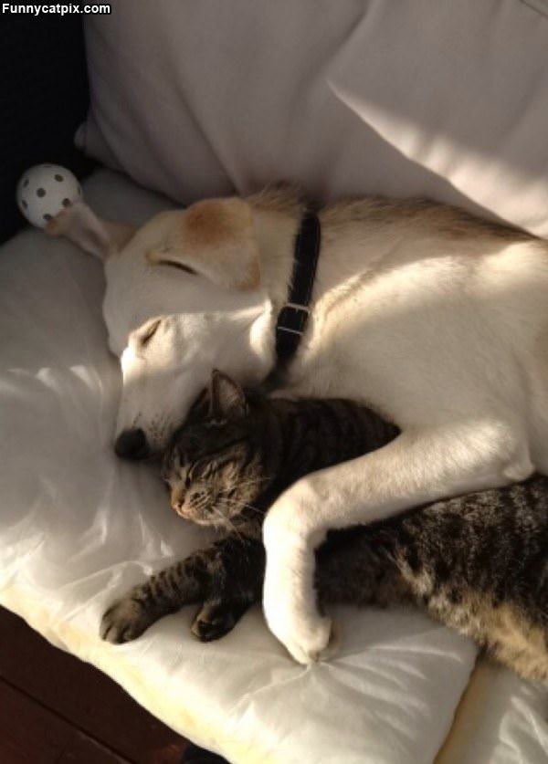 My Personal Warming Blanket