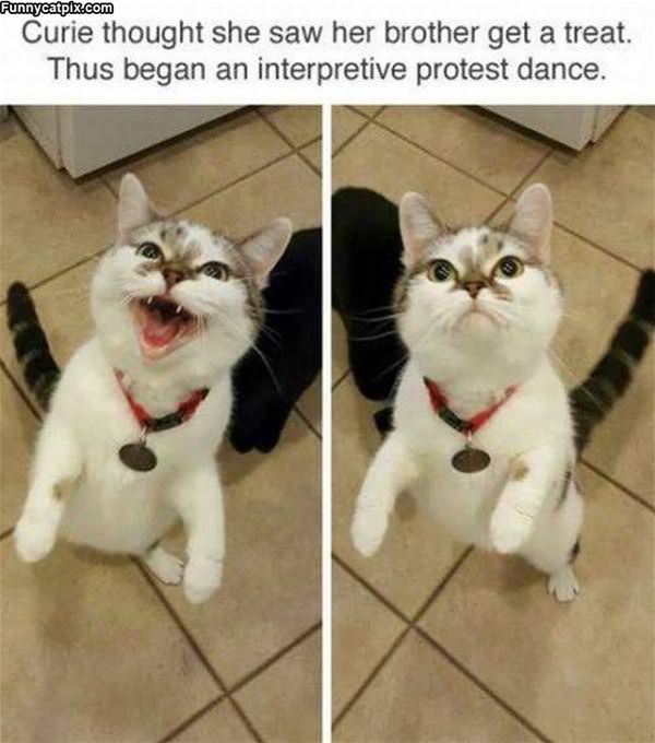 My Protest Dance