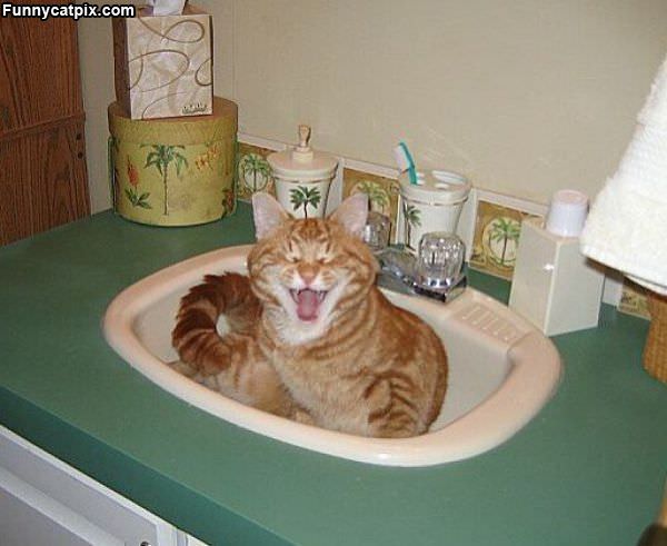 My Sink Time