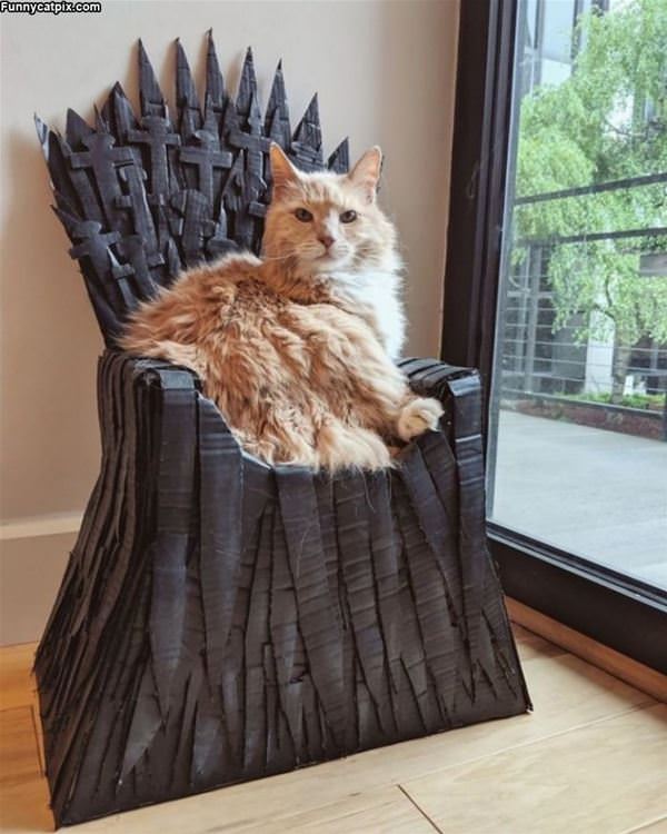 My Throne