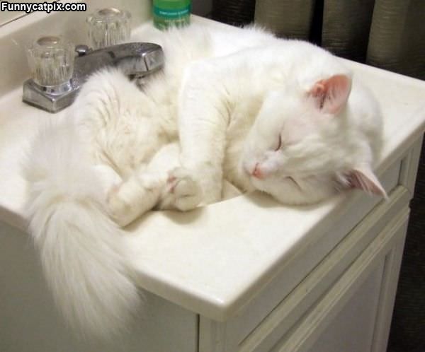 Need A Bigger Sink