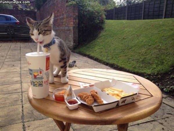 Need A Sip