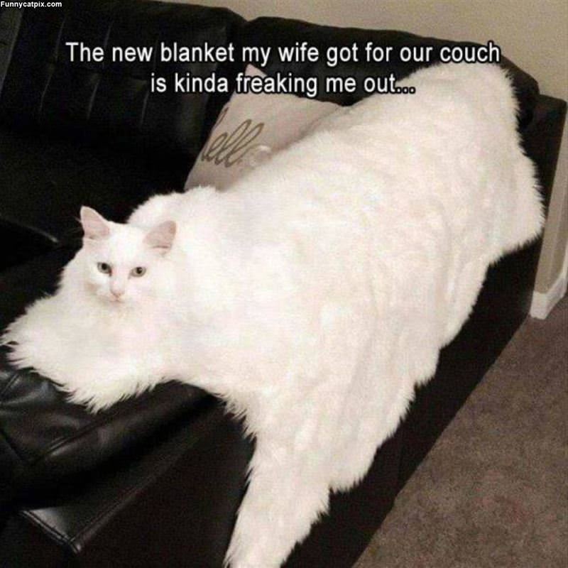 New Blanket