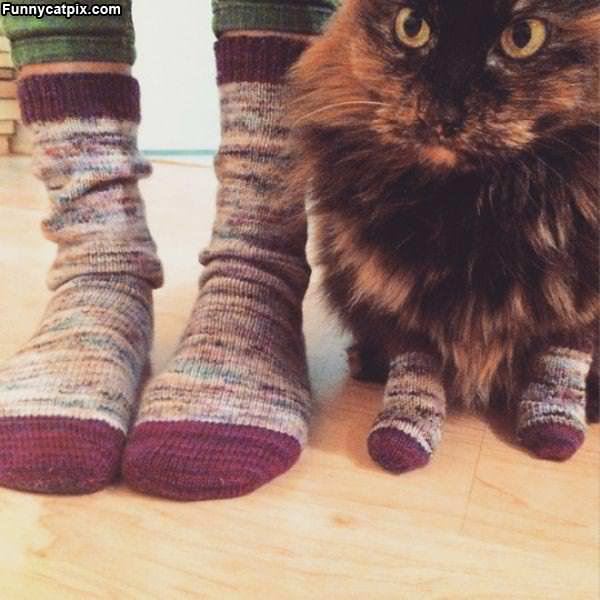 Nice Matching Socks