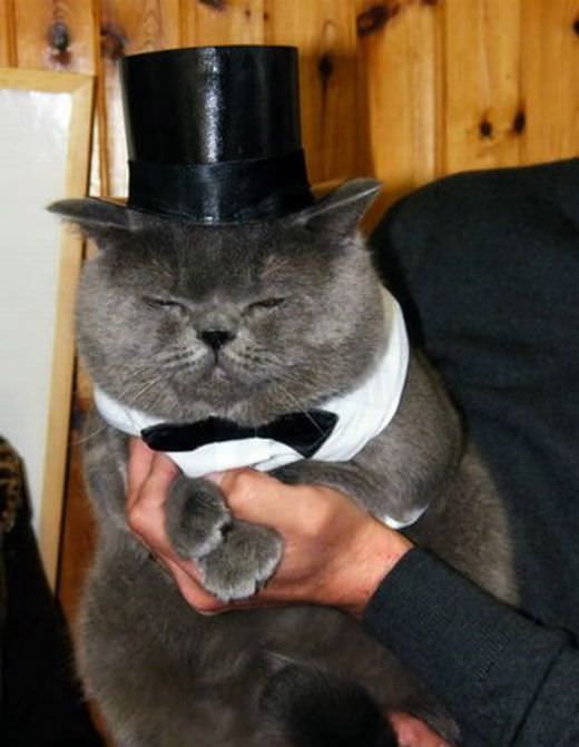 Nice Top Hat