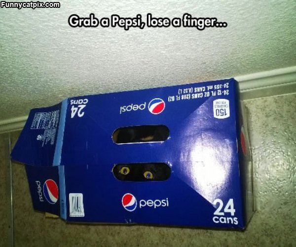 No Pepsis For You