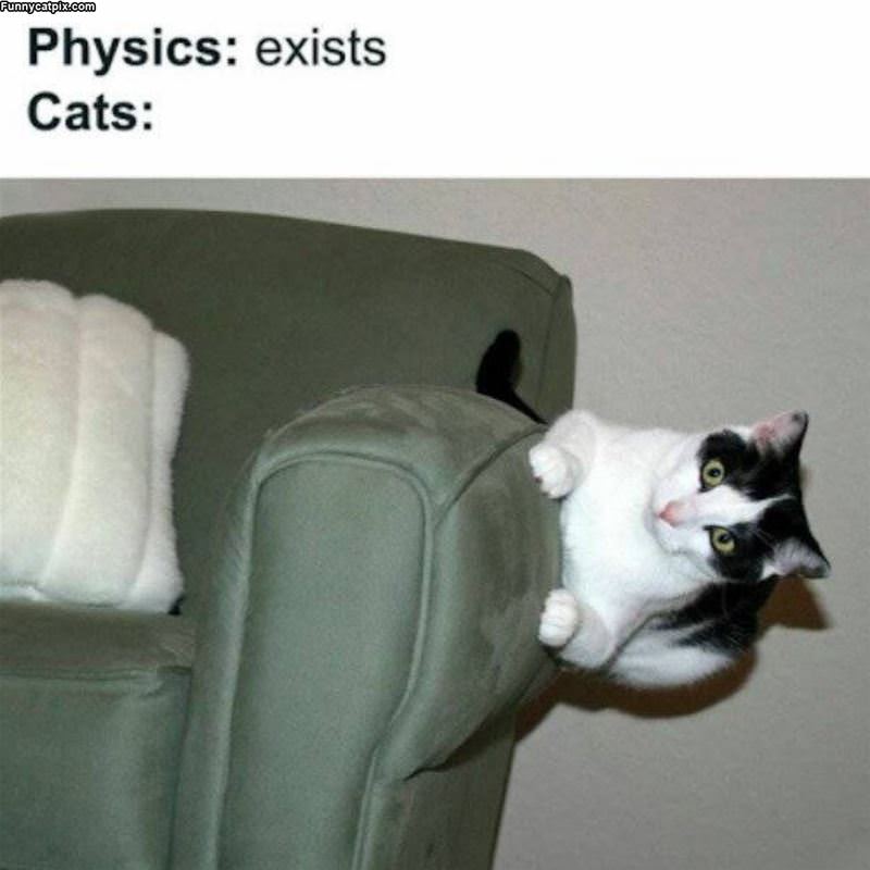 No Physics Here