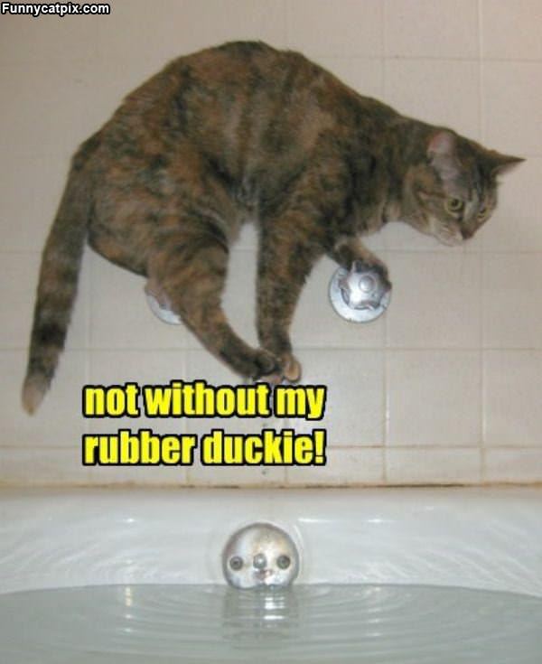 No Rubber Duckie