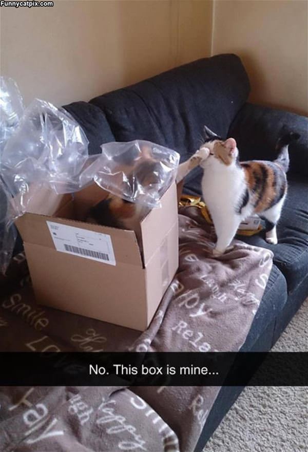 No This Box Is Mine