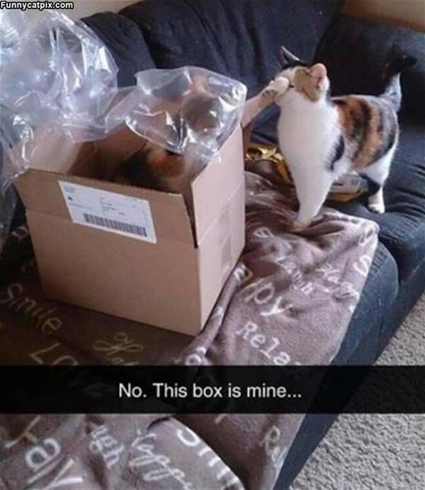 No This Box Is Mine