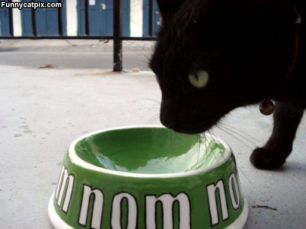 Nomnomnom Bowl