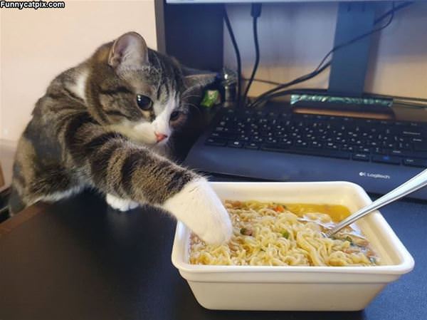 Noodles