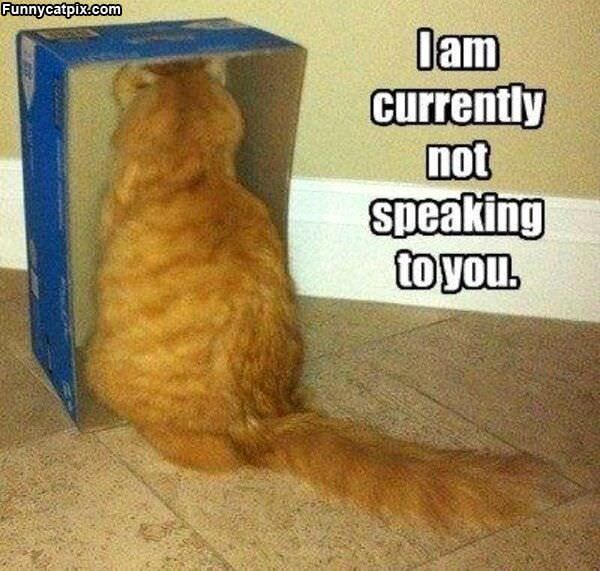 Not Speaking To You