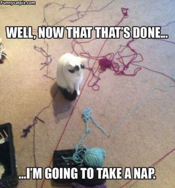 Now That Thats Done