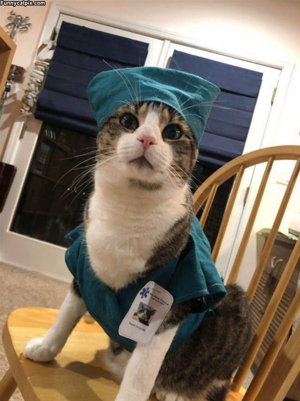 Nurse