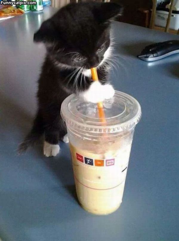 Oh I Want A Sip