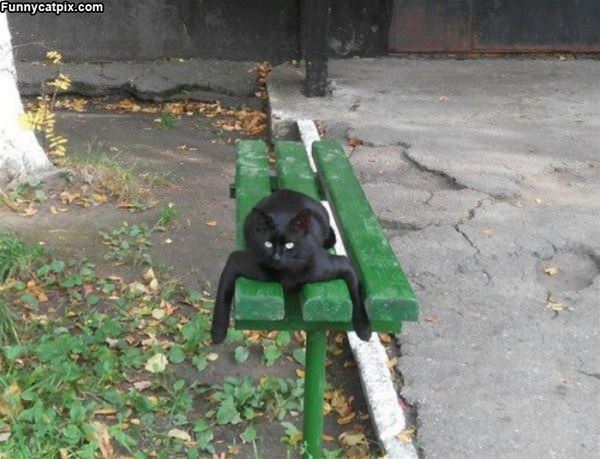 On The Green Bench