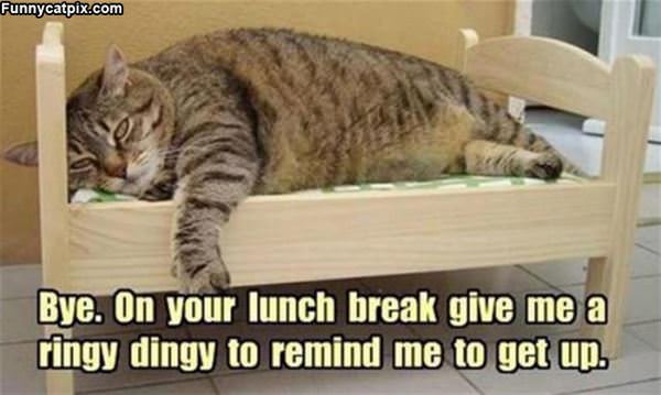 On Your Lunch Break