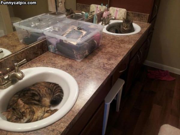 One Sink Each