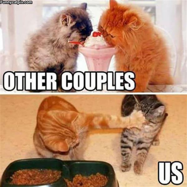 Other Couples Vs Us