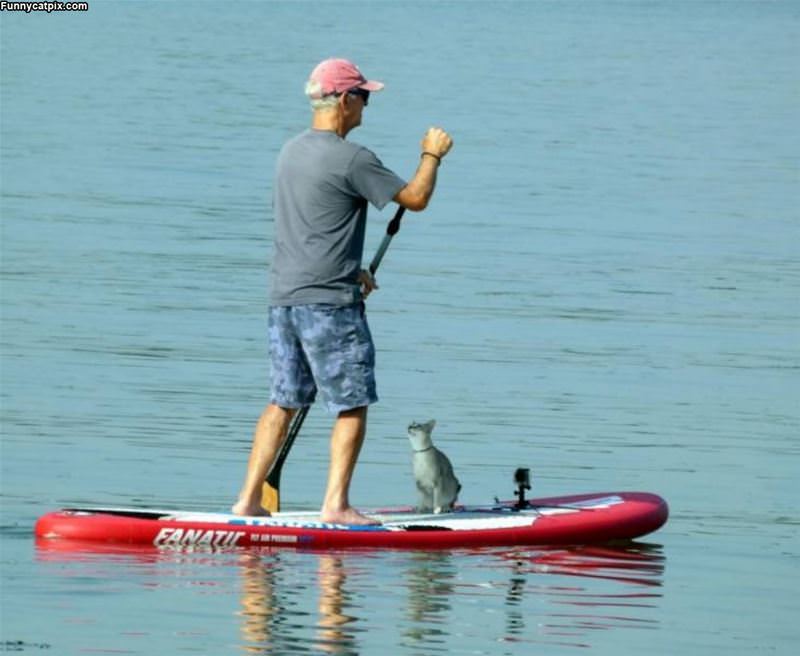 Paddle Boating