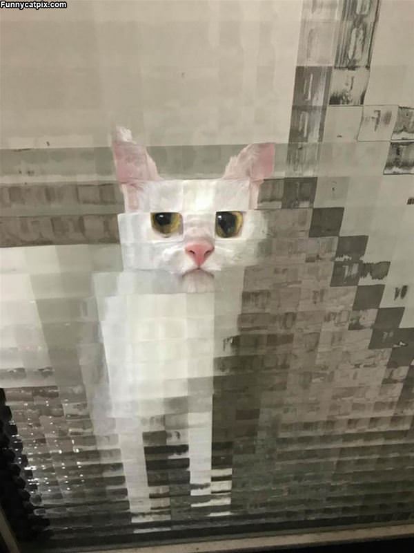 Pixelated Cat