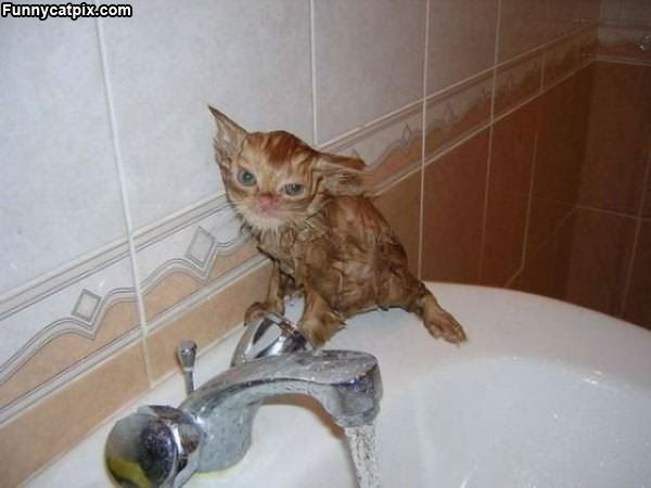 Playin In The Bath