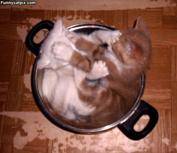 Playing In The Pot