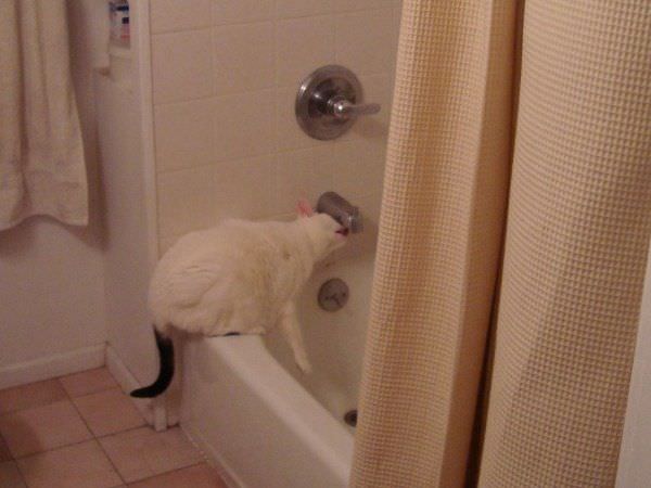 Playing In The Tub