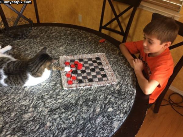 Playing Some Checkers