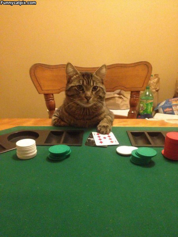 Playing Some Poker