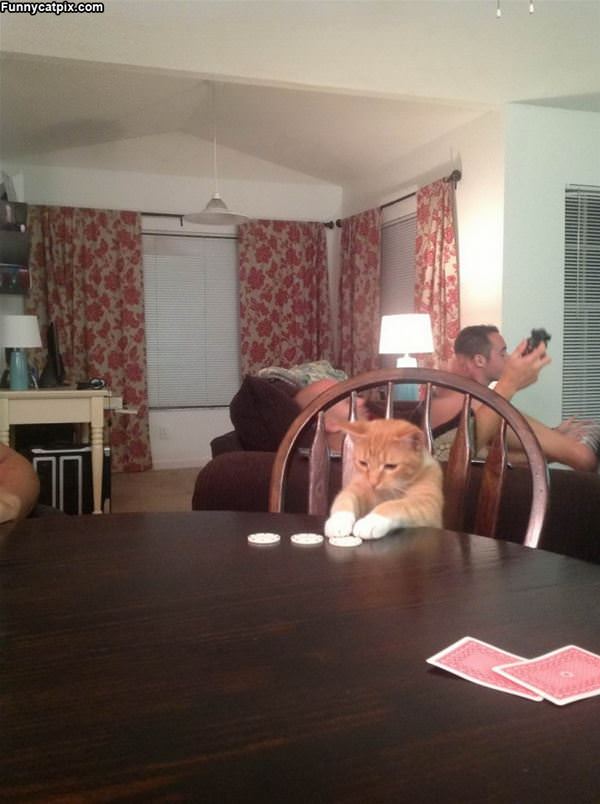 Playing Some Poker