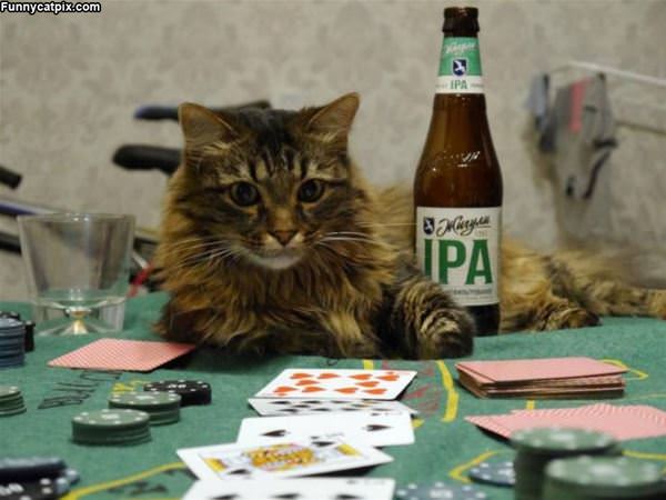 Playing Some Poker