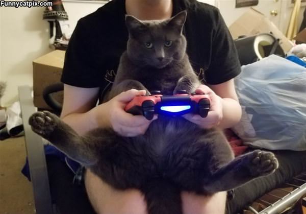 Playing Video Games