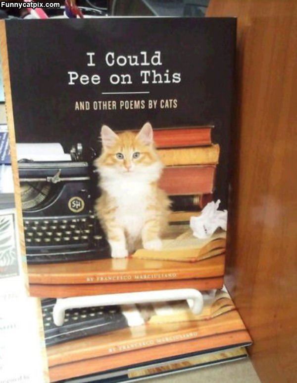 Poems By Cats