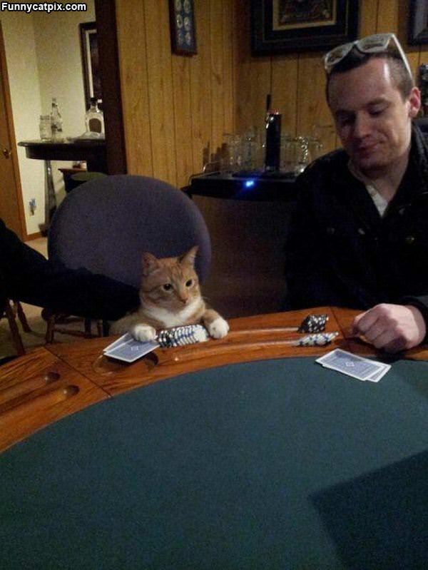 Poker Time