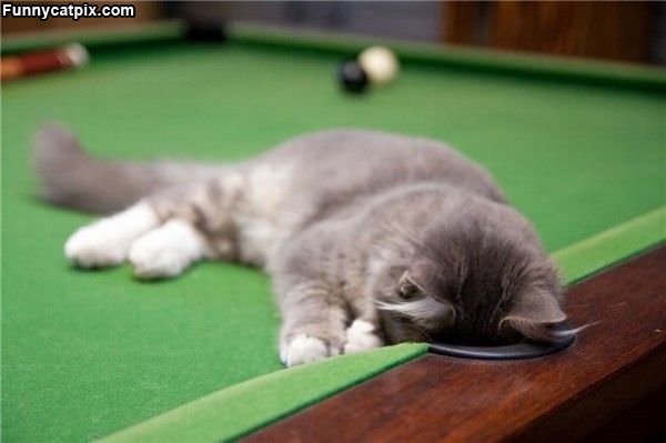 Pool Player