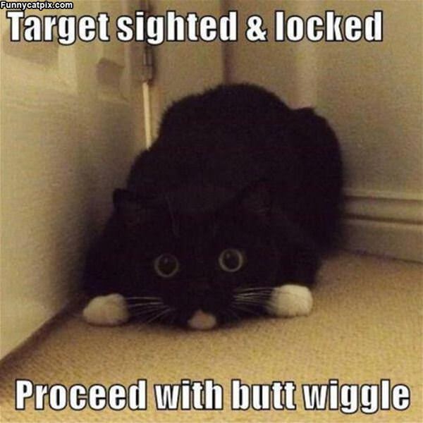 Proceed With Wiggle