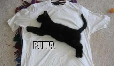 Puma Shirt