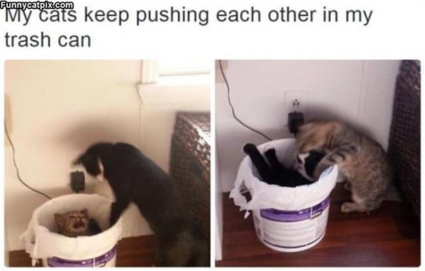 Pushing Each Other