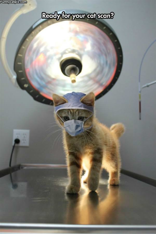 Ready For A Cat Scan