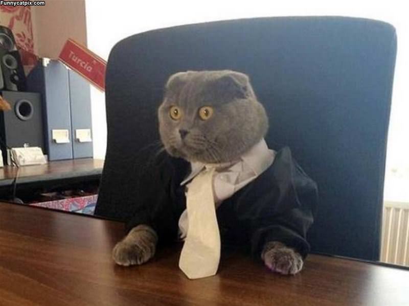 Ready For Business