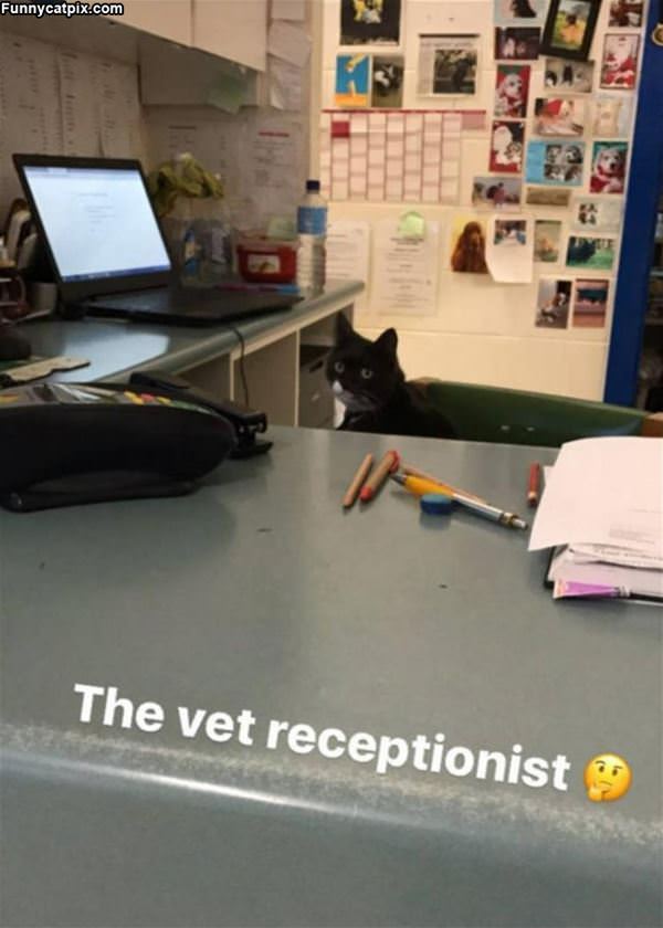 Receptionist