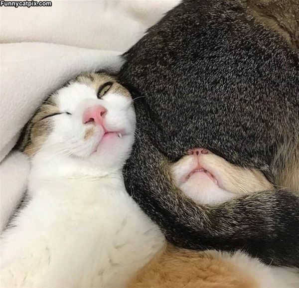 Relaxing Together Today
