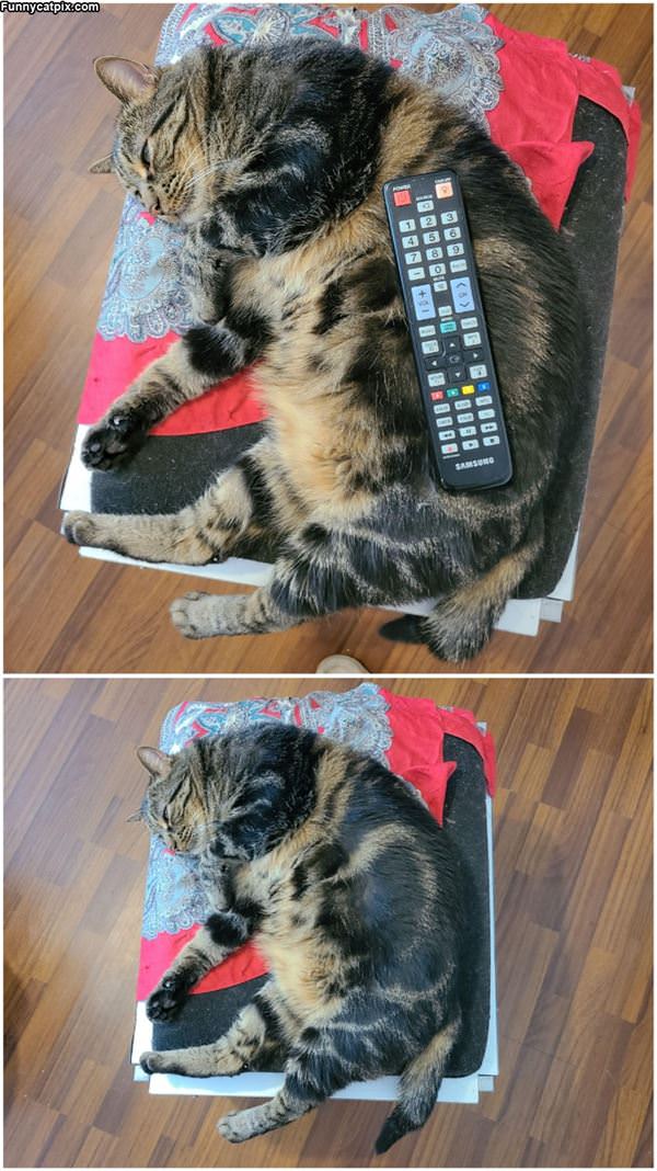 Remote Holder