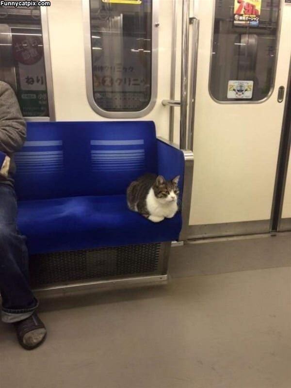 Riding The Train